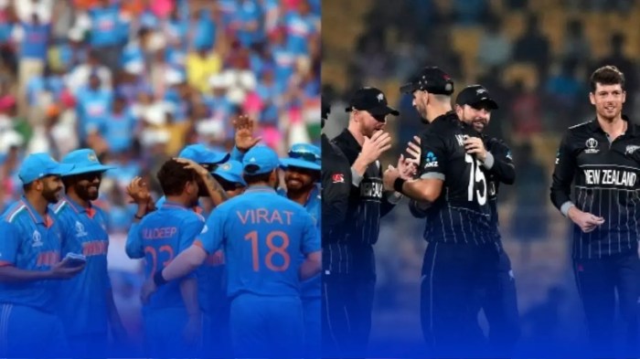 India new zealand cricket clash sets new high for disney hotstar