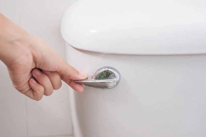 Hydro electric toilet helps you generate electricity with each flush