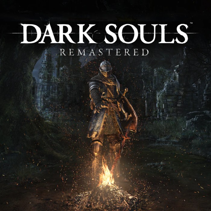 Dark souls remastered for nintendo switch ps4 pc and xbox one