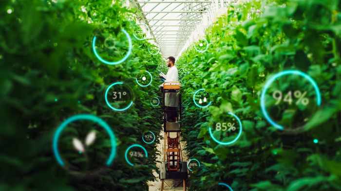 Plants could grow better after collecting agricultural data