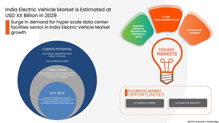 India ev market 2024