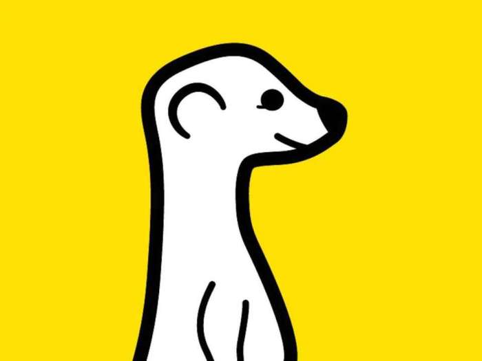 Meerkat beats twitters periscope to android launch