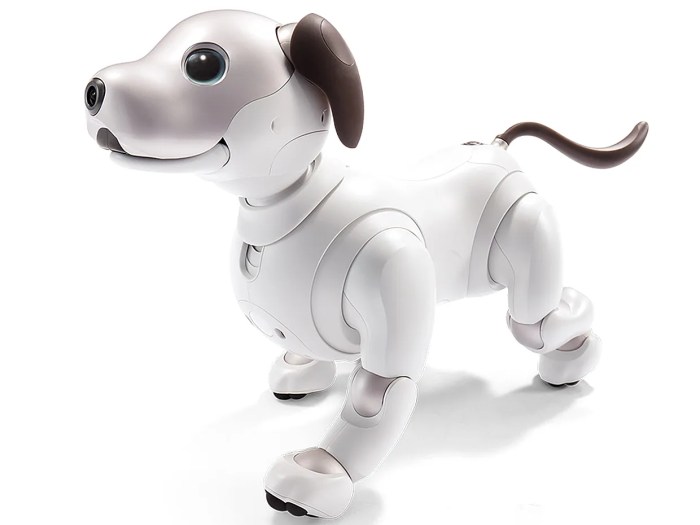 Sony aibo available pre order japan