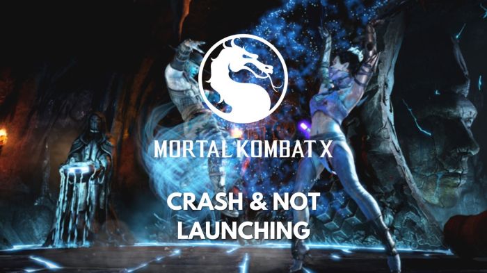 Mortal kombat x pc launch not without its problems