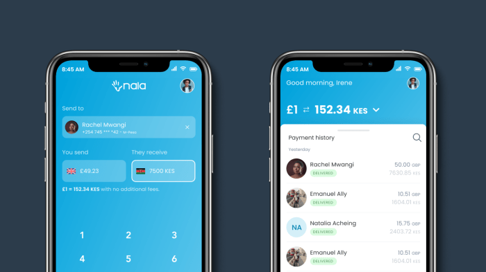 Nala builds a b2b payment platform too