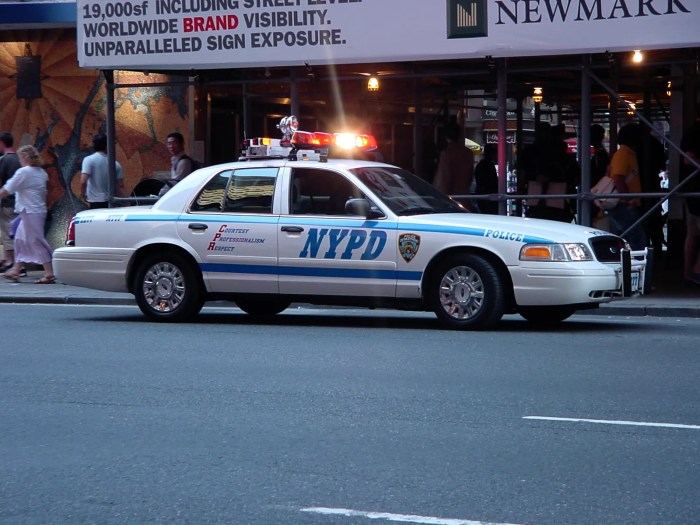 Nypd caught sanitizing police brutality wikipedia entries