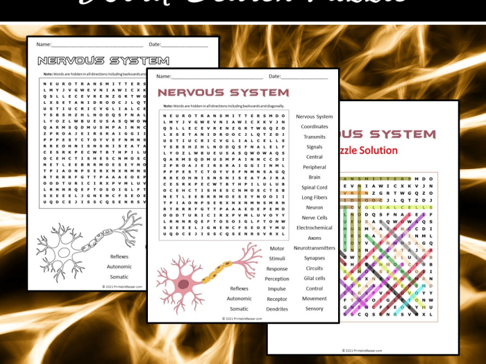 Neuroclues