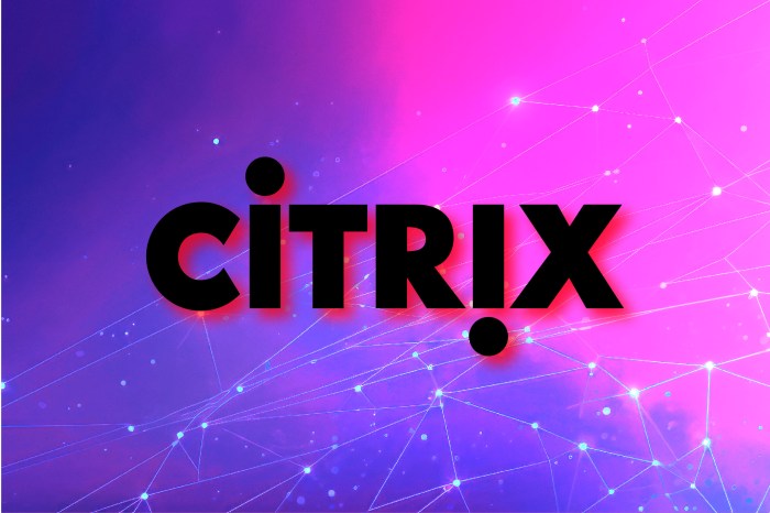 Citrix bleed critical bug ransomware mass cyberattacks