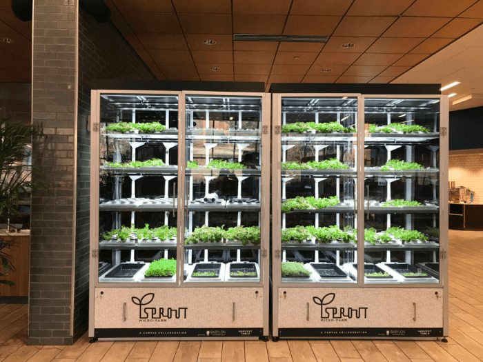 Babylon micro farms is bringing vertical farming to k 12 classes