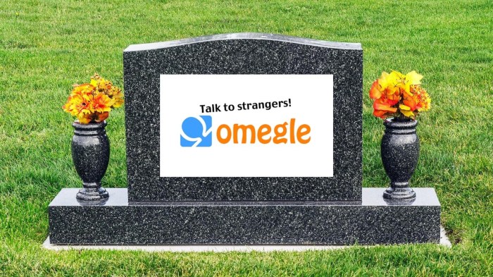 Omegle shutdown