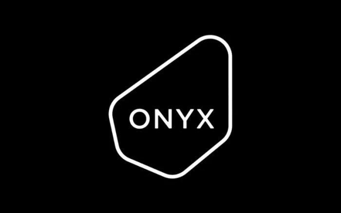 Y combinator digital bank onyx private shuts customer accounts