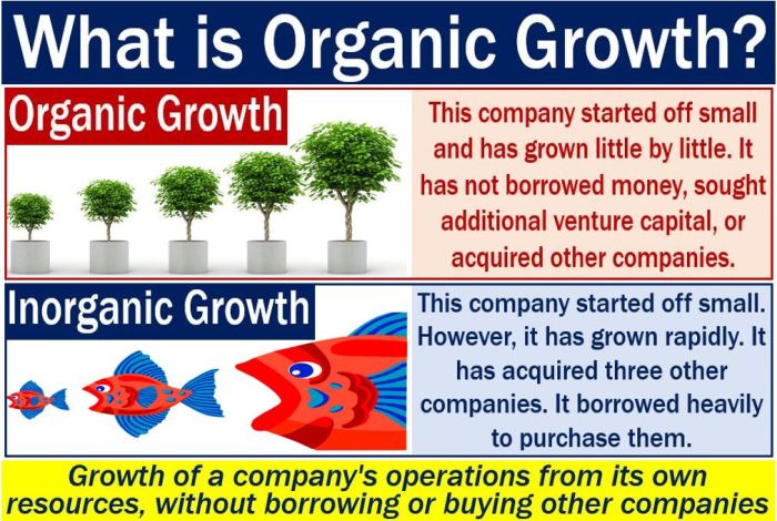 Carta growth without secondaries