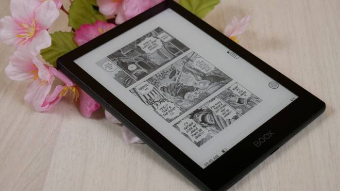 Boox ereaders poke 5 palma page review