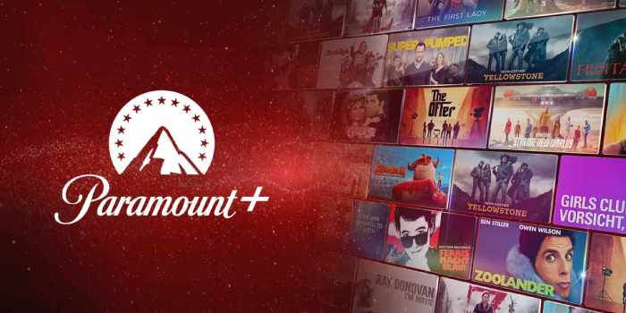 Cbs paramount owner national amusements hacked