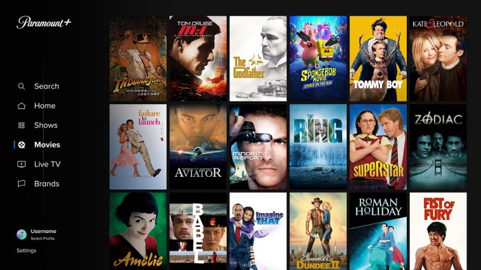 Paramount to start distributing their movies in digital format in the us