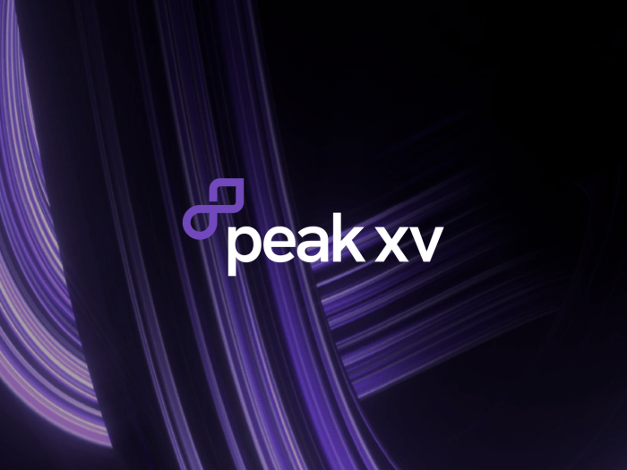 Peak xv to launch perpetual fund backed by own partners other leaders