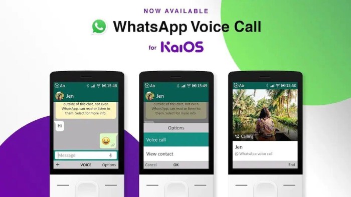 Whatsapp voice calling for ios activated at last