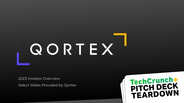 Sample seed pitch deck qortex