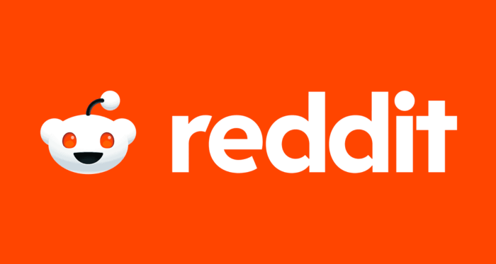 Reddit downplays risks of developer backlash decentralized social media in its ipo filing