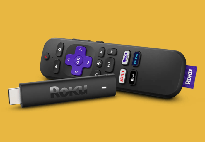 Roku developing smart speaker