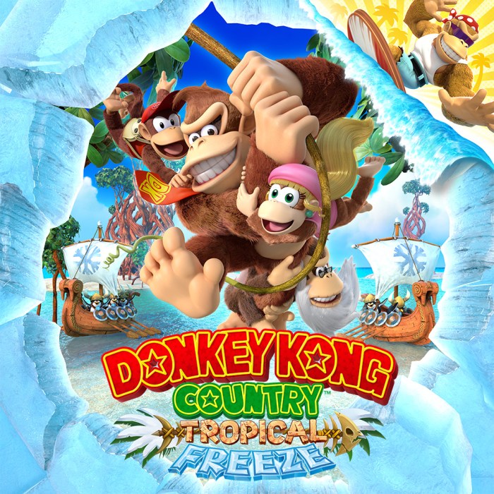 Donkey kong country tropical freeze nintendo switch