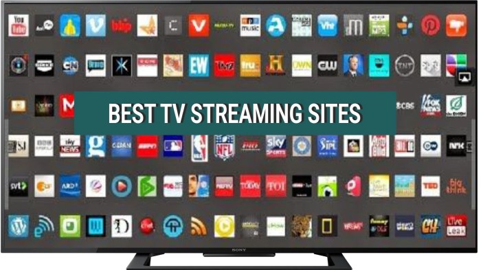 Showtimes new online tv streaming service is cheaper than hbos