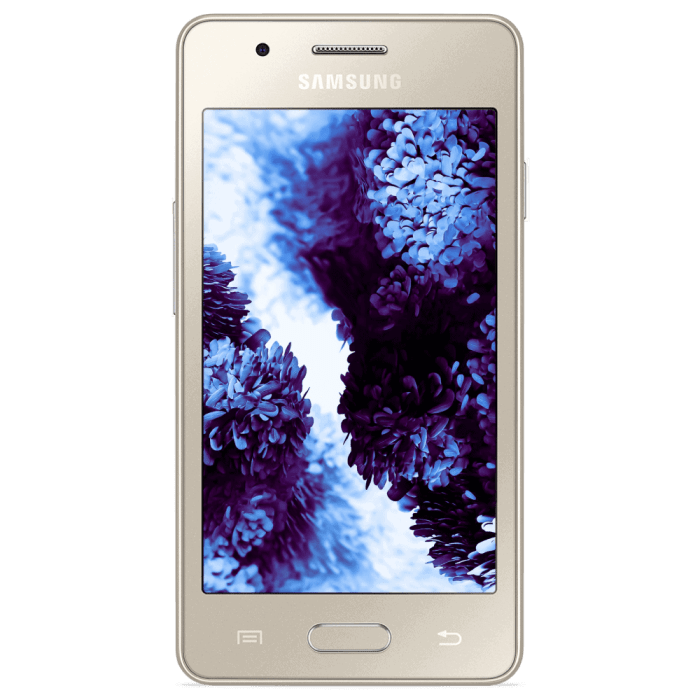 Samsung z2 video specs details revealed