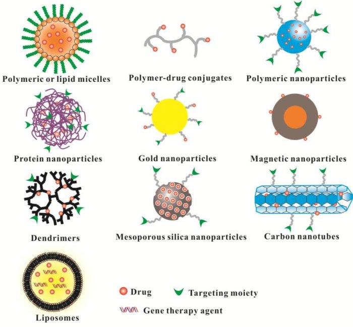 Nano sized fishes targeted drug delivery