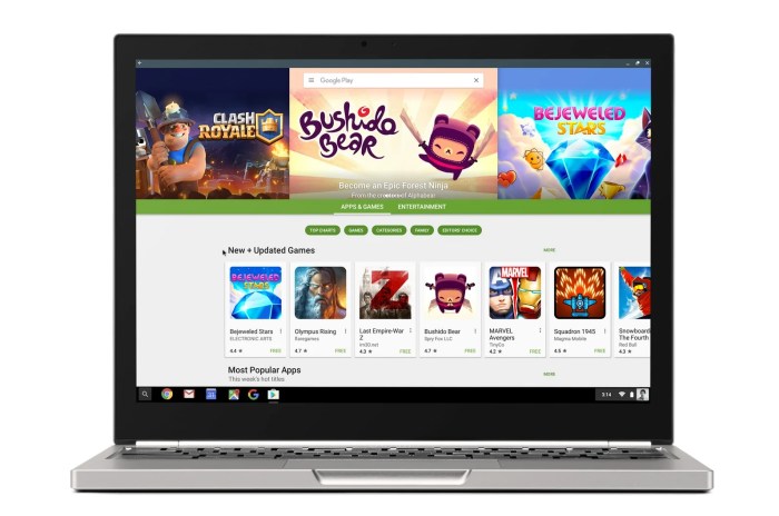 Play store support on 10 chromebooks