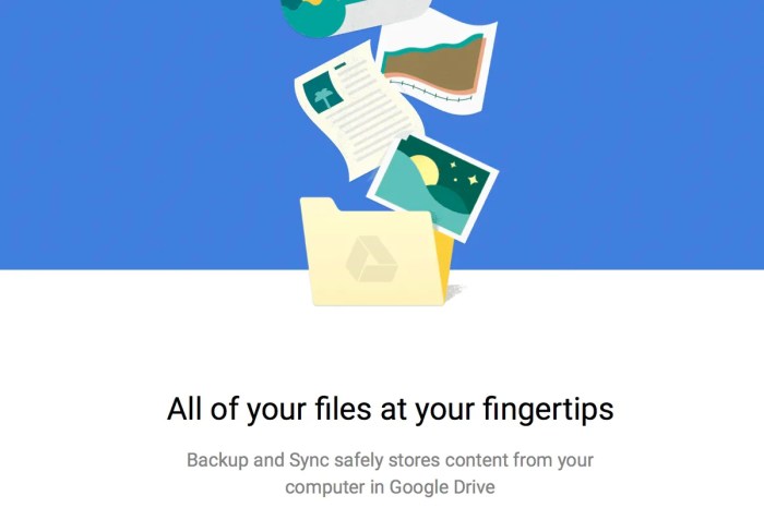 Google launches google auto backup tool for mac in picasa update