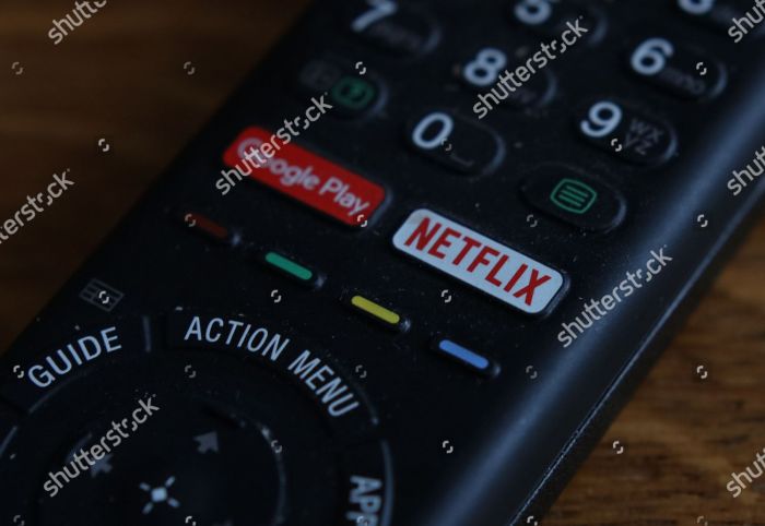 Dedicated netflix button heading to more remotes soon