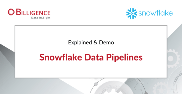 Observe snowflake data observability