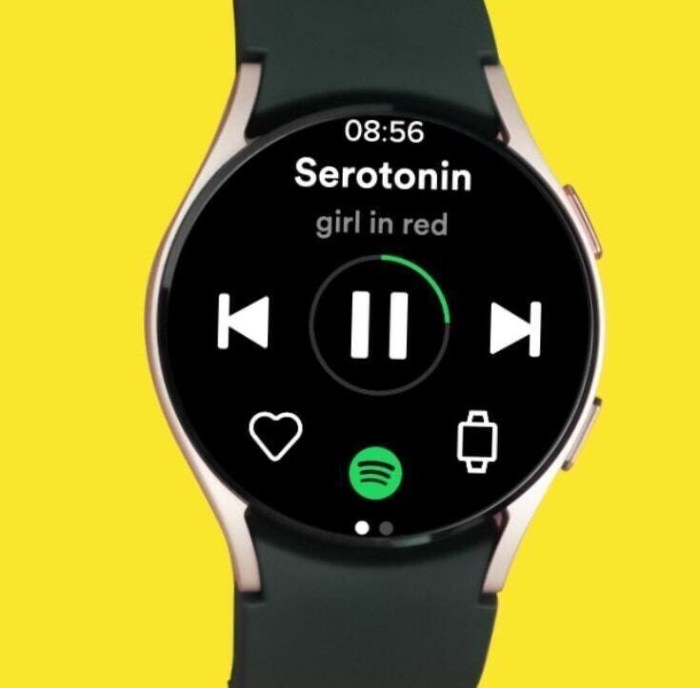 Spotify android wear app