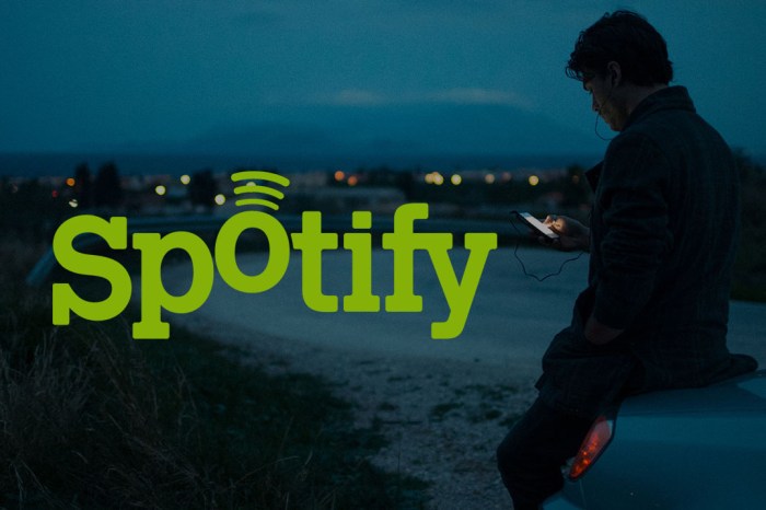 Spotify apparently has ambitions of a video service