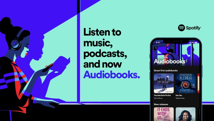 Spotify now the no 2 audiobook provider behind audible hints at daylist inspired suggestions to come