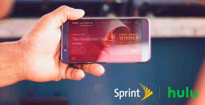 Sprint could offer free hulu access