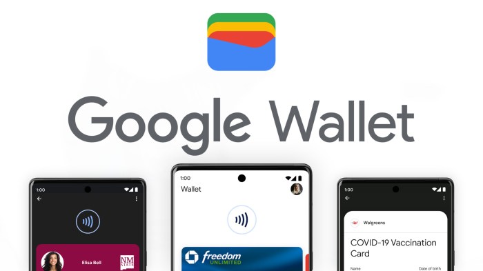 Google wallet india