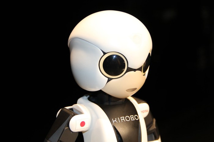 Kirobo robot carries out first space chat ever