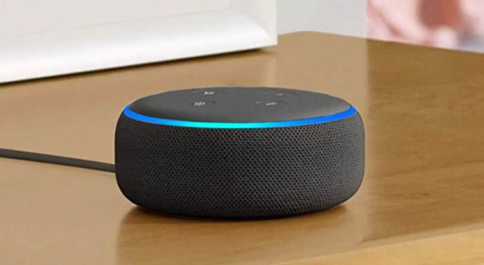 Cheaper amazon echo dot 50