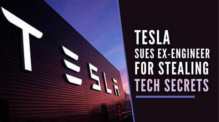 Oil executive sued by tesla for impersonating elon musk