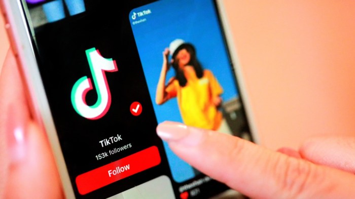 Tiktok creativity program creators