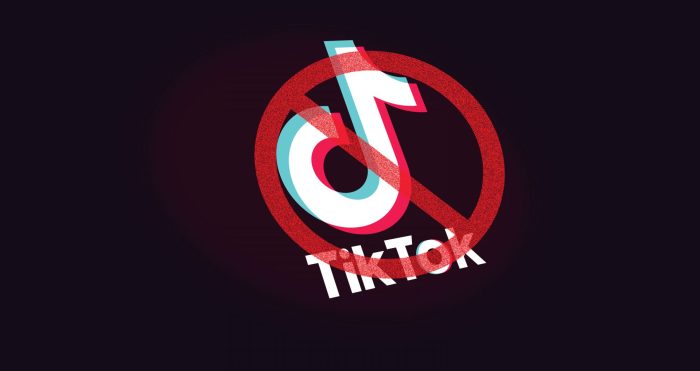 The impact of tiktoks ban in other countries could signal whats ahead for the u s