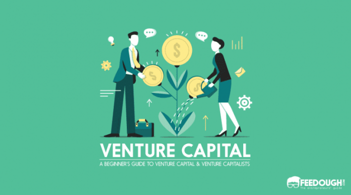 Emerging fund venture capital