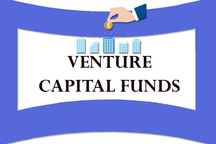 Emerging fund venture capital