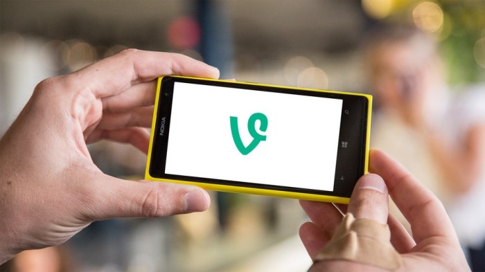 Vine for windows phone update brings support for drafts