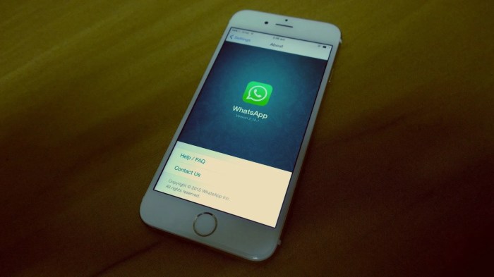 Whatsapp voice calling for ios activated at last