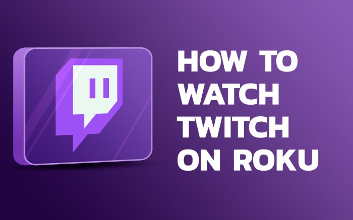 Twitch game streaming lands on roku