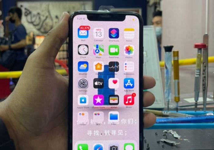 Lg didnt supply iphone x displays this year