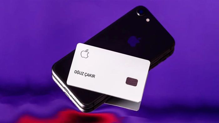 Apple card users earned more than 1 billion in daily cash in 2023