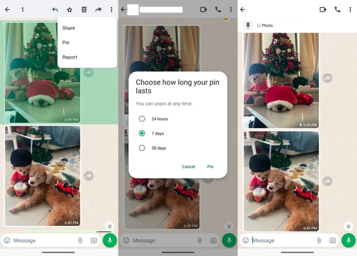 Whatsapp now lets you pin up to three messages